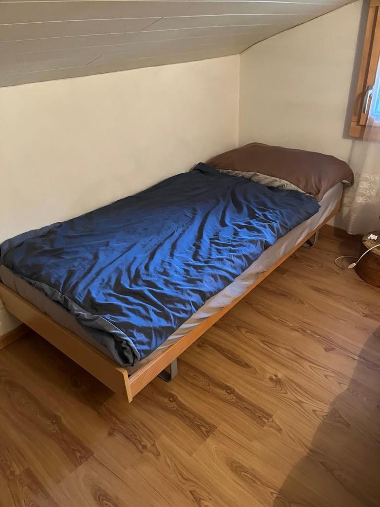Historische Maisonettewohnung Bis 9 Gaeste, Magic Pass Belalp, Rosswald Und Mehr Apartment *